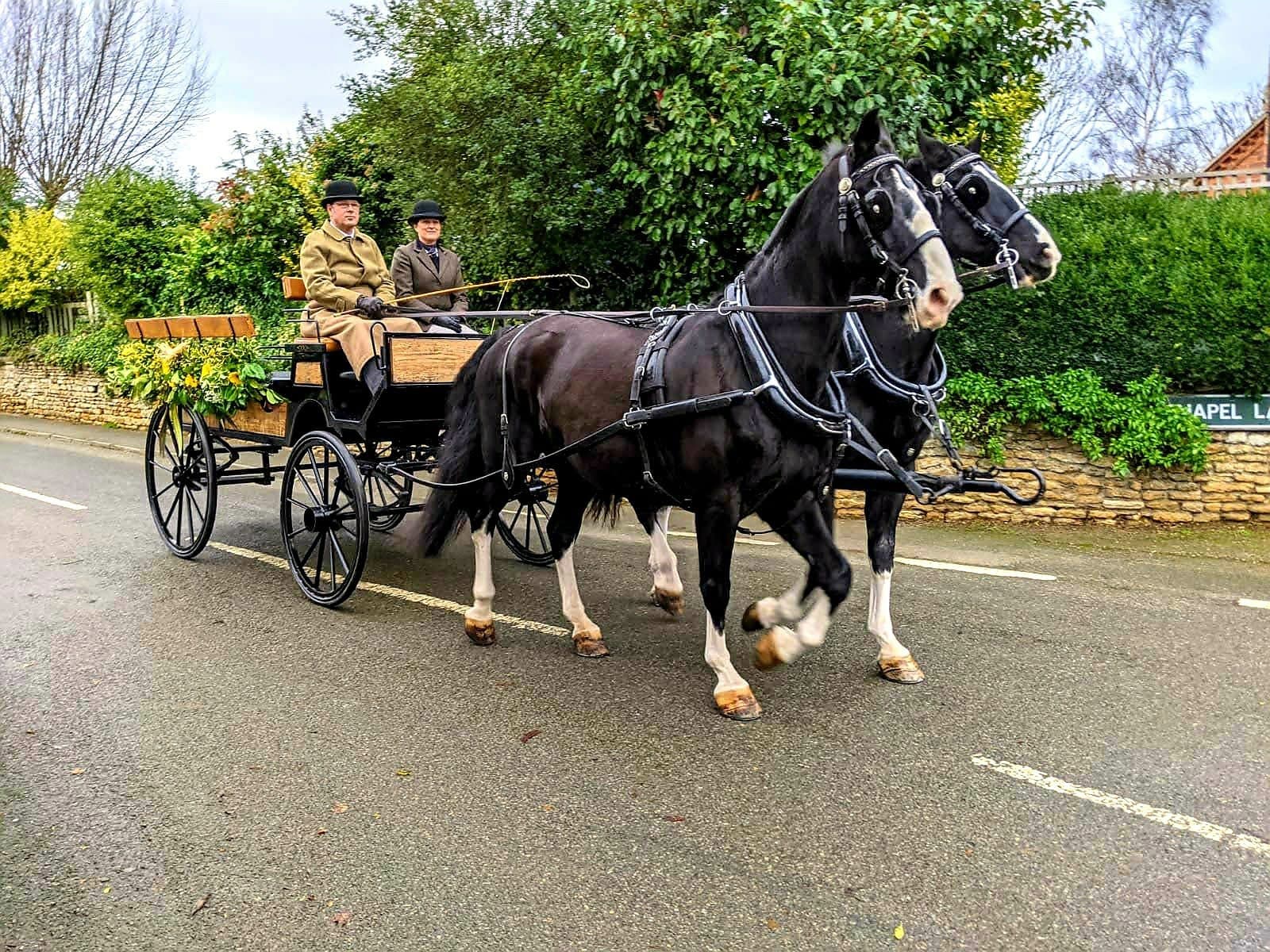 Danny at the reins with the black Landau pair outside a Lincolnshire country house